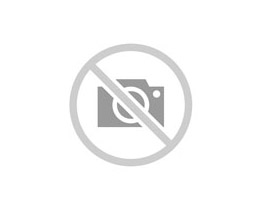 BUCHA AMORTECEDOR GM C10/C14/C20/D10/D14/D20 DIANTEIRO/TRASEIRO ../92